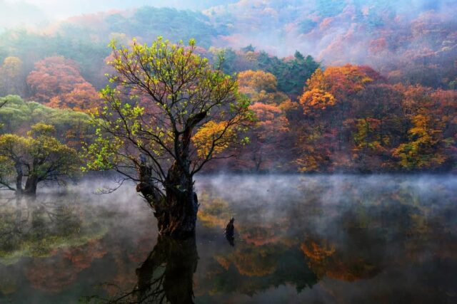 주왕산 숙소 추천 5곳 — 경북 청송 여행 필수 정보