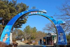 강원 삼척 해신당공원, 해변 속 카페와 여유로운 여름 휴가