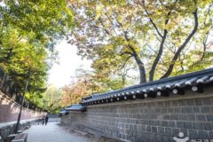 서울 덕수궁 돌담길 축제, 역사와 낭만의 여름 행사