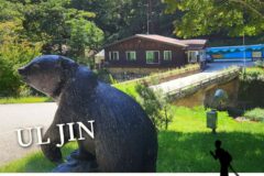 울진 통고산자연휴양림 여름에 찾은 이유｜바다보다 오래 기억에 남은 숲속 하루