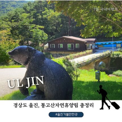 울진 통고산자연휴양림 여름에 찾은 이유｜바다보다 오래 기억에 남은 숲속 하루