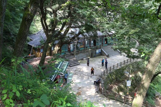 부여군 밥집 TOP 5 여행 코스 — 2026 최신 정리
