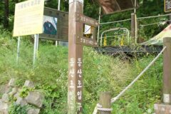 강원 조양산(정선) 축제, 여름 자연 속 특별한 경험