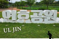 울진 가볼만한 곳 연호공원, 연꽃 피는 계절 꼭 걸어봐야 할 힐링 산책 명소
