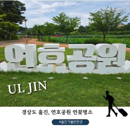 울진 가볼만한 곳 연호공원, 연꽃 피는 계절 꼭 걸어봐야 할 힐링 산책 명소