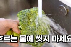 브로콜리 그냥 씻으면 안돼요! 대부분 잘 모르는 깨끗이 씻는 방법