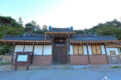 전남 금산원 체험, 강진군 자연 속 특별한 활동