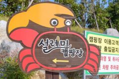 “5,000평 규모가 이렇게 넓다니…” 자연의 숨결 가득한 힐링 여행지