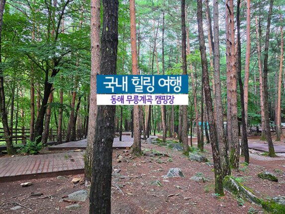 국내 힐링 여행 | 동해 무릉계곡 캠핑장