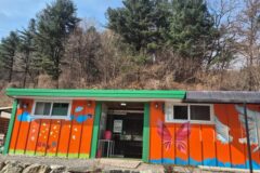 경기 양평 포레스트 캠핑장, 자연 속 힐링 캠핑 명소
