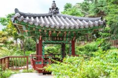 서울 오금공원 체험, 도심 속 자연 즐기기 좋은 곳