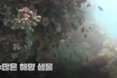 호주의 가장 아름다운 섬들을 중국이 사들이면 벌어지는 일들..