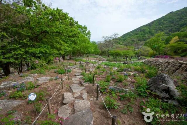 함양군 산책로 추천 5곳 — 2026 최신판