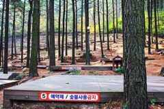 제암산자연휴양림 야영장 드라이브, 광주 자연 체험 추천