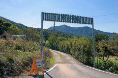 광주 마루한캠핑장, 그늘 속 여름 휴양지 추천