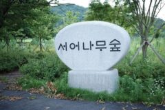 전북 서어나무 숲, 남원시 자연 산책로와 여름휴가 명소