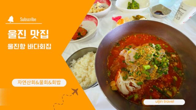 울진 맛집 추천 울진항 바다회집 자연산 물회 먹고 울진항 벽화마을까지