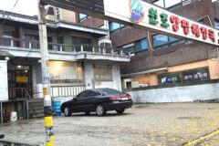 “서울 한복판에 이런 진한 맛이?”… 은평구 203번지 숨은 명소