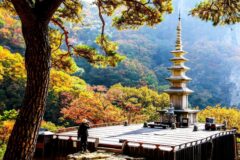 경북 숨은 명소 방문 코스 추천 5곳