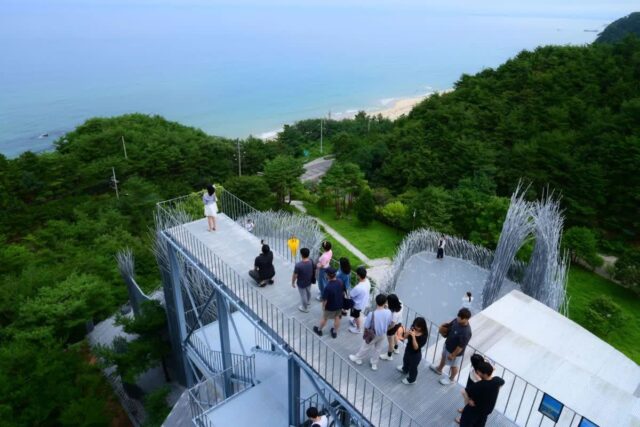 하슬라아트월드 방문 후기, 강릉 여행 필수 코스 5곳