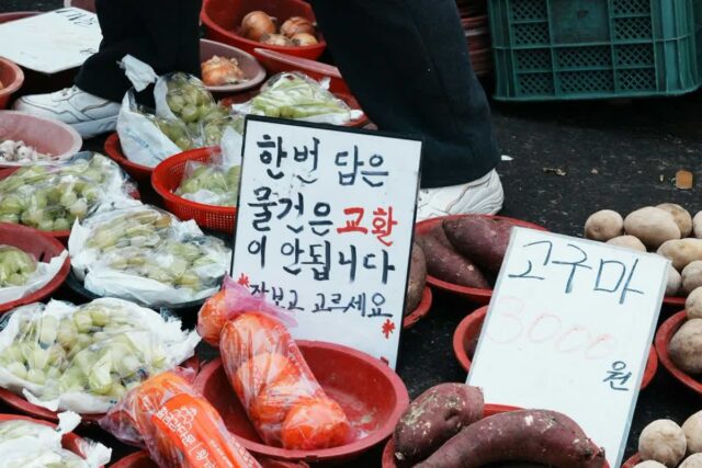 먹으러 가는 여행도 있습니다, 국내맛집여행 추천 도시 베스트