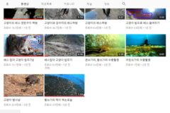 길고양이가 물고기 사료를 찢어놓는게 싫어 밥을 챙겨주기 시작했다는 유튜버..