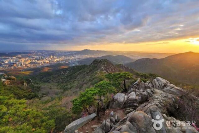 과천시 관광 인기 명소 6곳 — 2026 최신 가이드