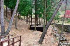 “순천에 이렇게 넓은 50,000㎡ 캠핑장이?”… 자연과 어우러진 무장애 명소