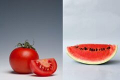 [리얼푸드] “여기에 더 많아요”…잘못 알았던 식품 영양소