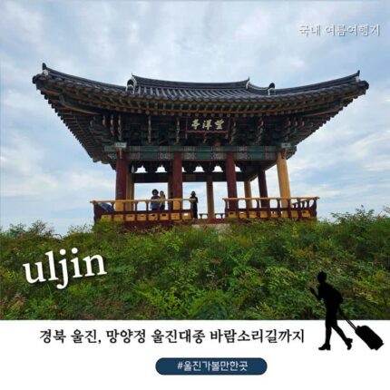 울진 망양정 여름 여행! 해맞이광장·울진대종·바람소리길·소망나무 전망탑까지 걸어보니