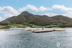 “보배에 견줄 만한 섬” 통영 비진도에서 누리는 완벽 슬로우케이션