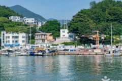 전남 돌산항 카페 여행, 여름 바다 풍경과 힐링 공간