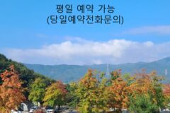 경기 단풍숲캠핑장, 자연 속 쾌적한 캠핑 체험