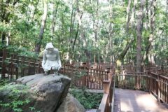 경기 삼성산산림욕장 체험, 여름철 힐링의 최적지