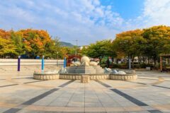 전북 봉곡테마공원 여행, 자연 속 힐링과 가족 나들이
