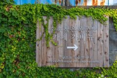 충북 숲속작은목공방가비뉴 축제, 자연과 예술 체험