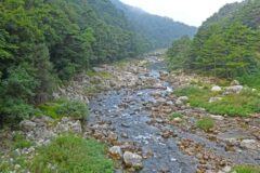 강원 추대계곡 축제, 여름 만끽할 완벽한 명소