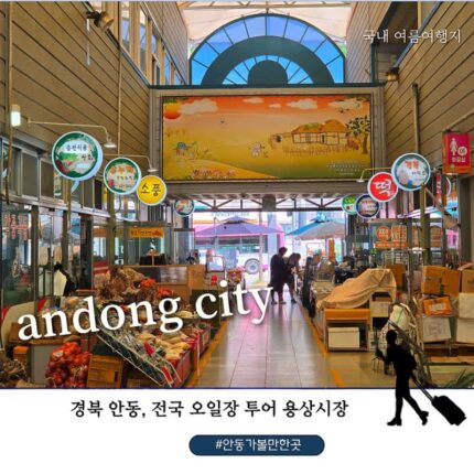 안동 용상시장 전국 오일장 투어, 제철 황도복숭아와 의성 햇마늘 만난 안동 가볼만한 곳