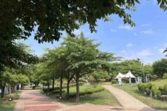 경기 반월공원 축제, 여름 물놀이와 다양한 행사 가볼만한곳