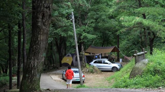 “와, 진짜 1,200헥타르가 눈앞에 펼쳐진다니!”… 자연의 요새 같은 캠핑 여행지