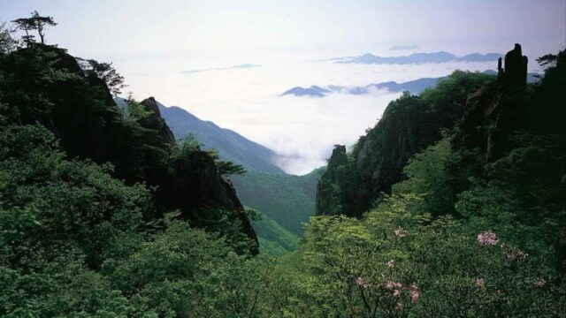 대둔산도립공원(금산) 체험, 충남 자연의 웅장함 느끼기