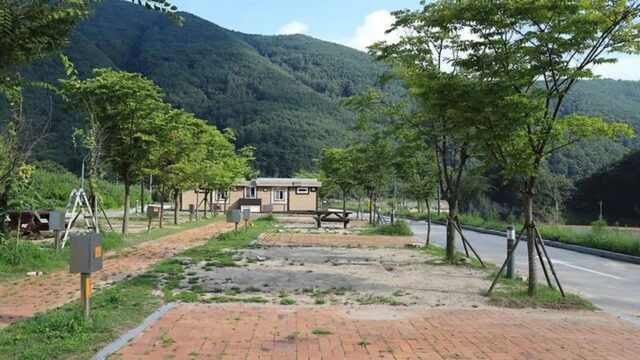 “50,000㎡ 자연 속에서 진짜 힐링 피크닉이래요”… 강바람 따라 낚시 즐기며 머무르는 캠핑 명소
