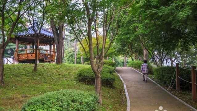 경기 솔밭공원(안성), 자연 만끽하며 무료로 즐기는 여유