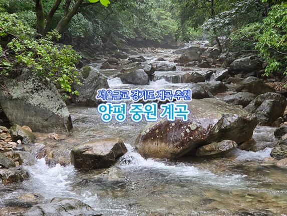 서울 근교 경기도 계곡 추천 양평 중원 계곡