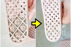 화장실 슬리퍼 곰팡이 말끔하게 제거하는 법