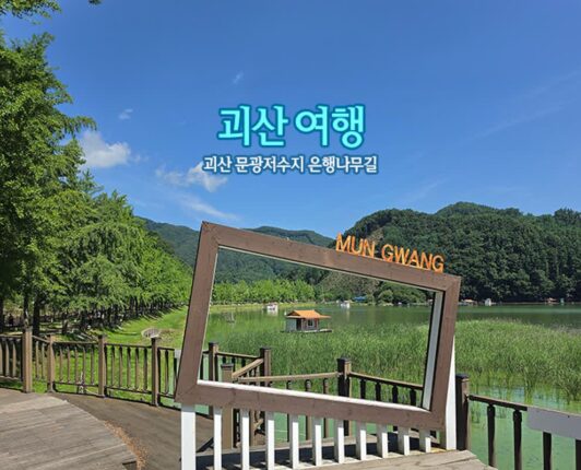 어쩌다 괴산 여행 | 괴산 문광저수지 은행나무길