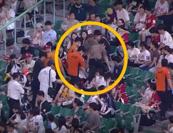 ‘사상 초유’ KBO 전 경기 취소…관중 심정지에 리그가 멈춘 진짜 이유
