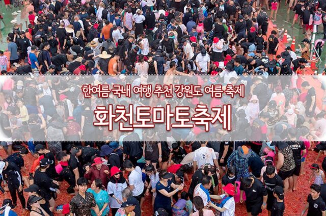 한여름 국내 여행 추천 강원도 여름 축제 화천토마토축제
