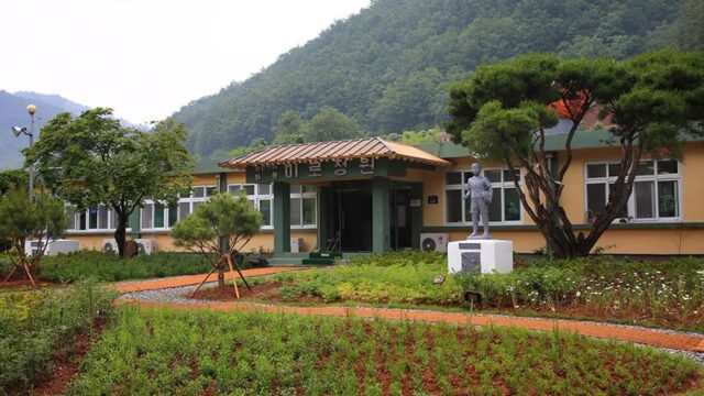 삼척미로정원, 강원 자연 속 여유로운 미로 산책