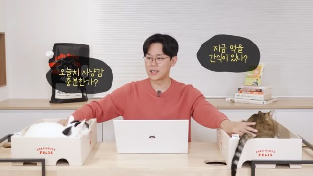 미야옹철-고양이는 집사를 사랑하지 않는다